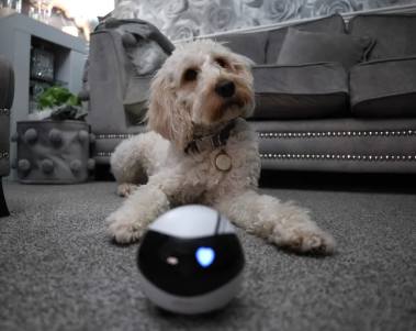 Digital Camera World: Enabot EBO Air is An adorable robot pet camera