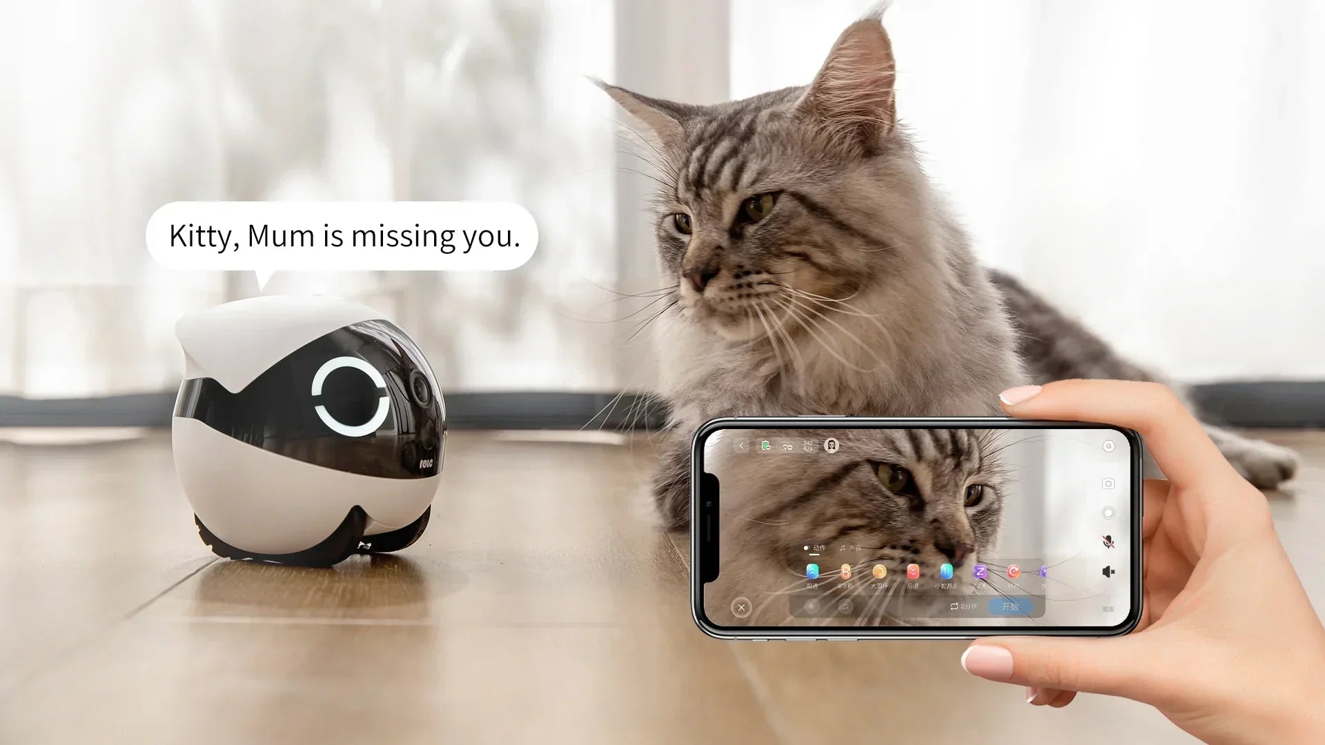 What is the difference between a pet camera and a security camera?