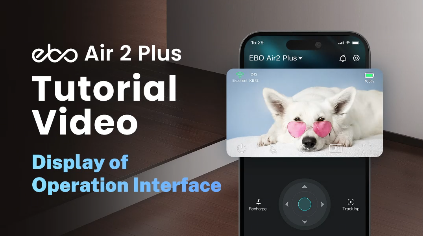 Display of Operation Interface