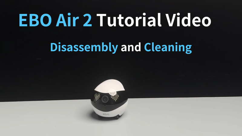 Disassembly and Cleaning