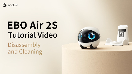 Disassembly and Cleaning