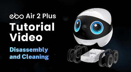 Disassembly and Cleaning