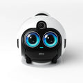 Enabot EBO Max FamilyBot