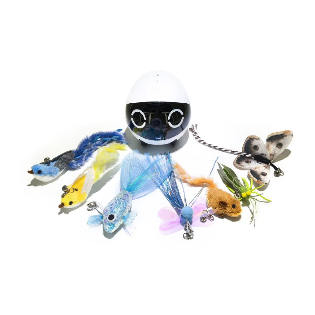 Enabot ROLA Mini Cat Teaser