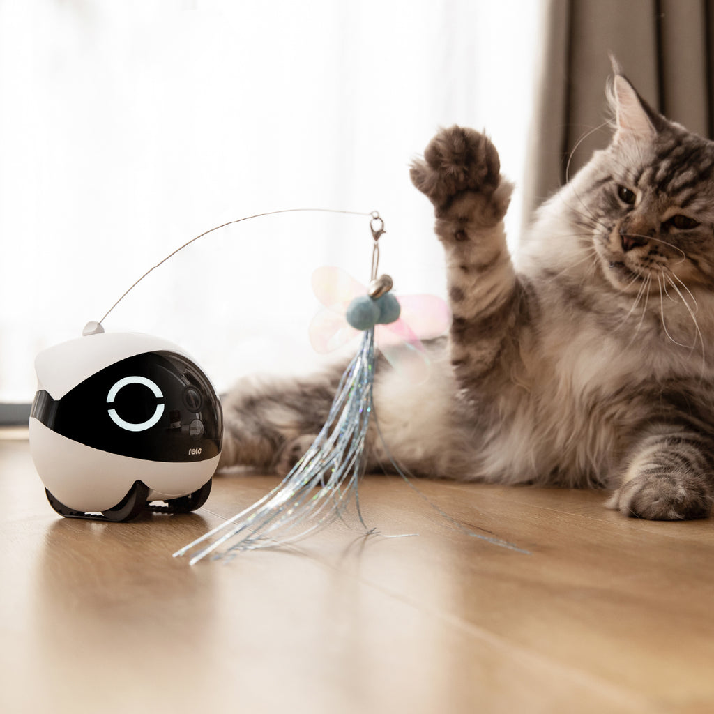 Enabot ROLA Mini Cat Teaser