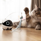 Enabot ROLA Mini Cat Teaser