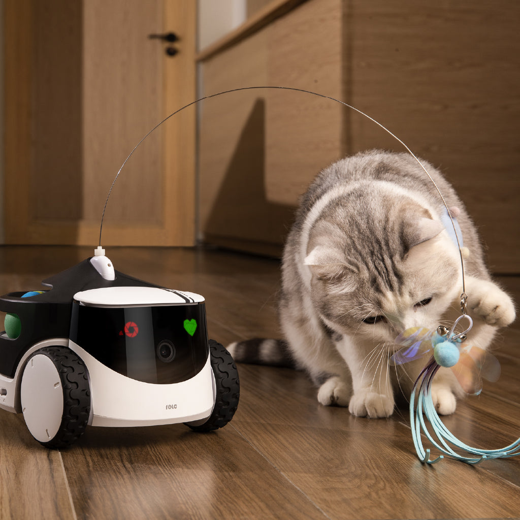 Enabot ROLA PetPal Interactive Toys Module
