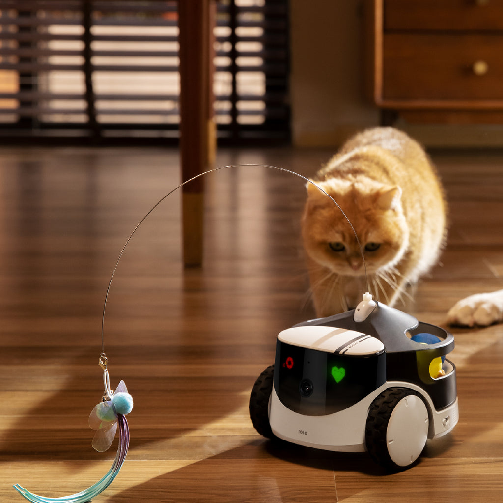 Enabot ROLA PetPal Interactive Toys Module